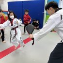 용인대행복한태권도장 이미지