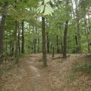 인성군묘 이미지