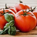 토마토세탁 이미지