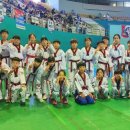 한가람태권도장 이미지