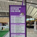 루틴펫살롱 이미지