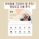 멍냥 동물병원 | 반려동물 건강관리 앱 추천/ 멍냥도감 사용 후기
