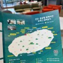 아일랜드프로젝트성산점 | 자연 속에서 일하는 즐거움, 제주 워케이션