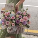 트레졸리 이미지