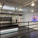 국가대표 복싱센터 세종점 이미지