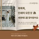 색감부터 제본까지 완벽! 세영애드인쇄소 리플릿 제작 후기