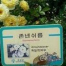 하님약국 | 마운자로 최저가 처방, 병원, 진료, 약국, 가격, 비밀로 할것인가 말것인가, 단점, 후회 후기 🗯️✨ 다소...