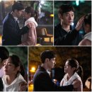 달빛여우 이미지