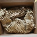 솔가맥 | 맥북에어 m3 13인치 미드나이트 &amp; 솔가 비타민 B/D 구매