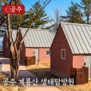 주역과 함께하는 인문학 산책 | 계룡산 생태탐방원 공주여행코스 국립공원 가볼만한곳