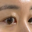 홀리몰리래쉬