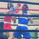 화랑 (권투) 이미지