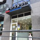 서울준동물병원 | 강아지 스케일링 스켈링 비용 &amp; 발톱 혈관 깎기 &amp; 발바닥 습진