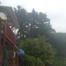 사량도바다소리 이미지