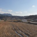 양촌마을 이미지