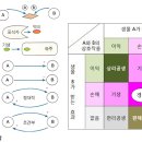 함께 사는 세상, 생물들의 상호작용 이미지