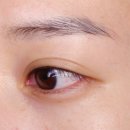 안경매니져&렌즈타운(김해장유점) | [원데이렌즈추천] 부담없이 사용 가능한 일회용렌즈, 뉴바이오 모이스처 써클렌즈 브라운