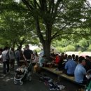 죽림4로가로수 Daum카페
