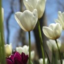 중장년 건강 관리 운동법 이미지