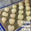 도원시장 | 중국 대련 현지인 시장 추천 도원시장 고덕지도