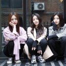 브레이브 걸스 카카오 검색결과