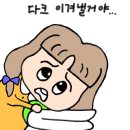 에듀툴
