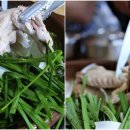 구월1동-37 이미지