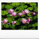 미성동자치회관 이미지