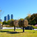 태화강국가정원 이미지