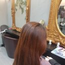 알레헤어살롱
