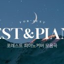 피아노포레스트
