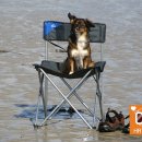 코로나펜션 이미지