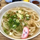 반석초교 | 동탄 이랏샤이 - 직접 제면하는 우동과 퀄리티 좋은 돈까스 맛집 내돈내산 후기