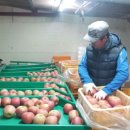 백동농장 이미지