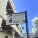 판다아울렛DC백화점 | 여행]하와이 신혼여행 기념품 알라모아나 쇼핑센터, 와이켈레 프리미엄 아울렛, 월마트, 로스 추천 후기