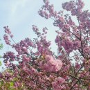 모라백양공원 이미지