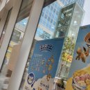 디지털월드 | 꾸덕꾸덕한 행복 한 입! 가산동 요거트아이스크림 /요거트월드 가산디지털점 리얼후기