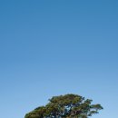 한성주택 이미지