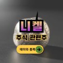 ㈜로드종합건설 | 니켈 주식관련주...테마와 종목