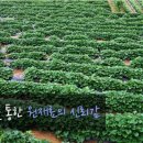 덕순네푸드