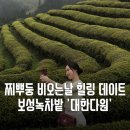 다향농원가든 | 버스타고 광주에서 보성 _ 비오는날 주말데이트 대한다원 | 전남 봄꽃축제 5/2~축제 시즌 힐링코스 인생...