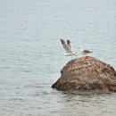 벌천포 마을 이미지