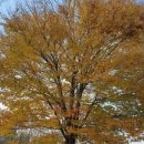 두물머리공원 맞은편 이미지