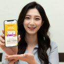 타이어요기 이미지