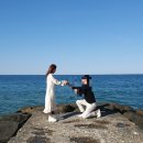 금송아지목장 이미지