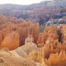 호텔밴드 이미지