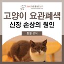 24시연동물의료센터 이미지