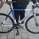 픽시 카카오 검색결과