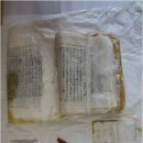 울산 신흥사 석조아미타여래좌상 파이낸셜뉴스