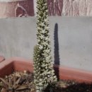 무지개뜨는집민박 이미지